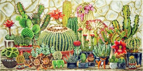 (image for) Cacti